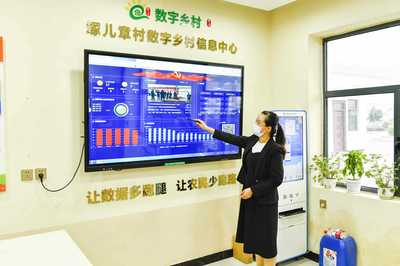 數字賦能淇濱 網絡技術服務驅動鄉村振興新篇章
